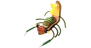 :  «»